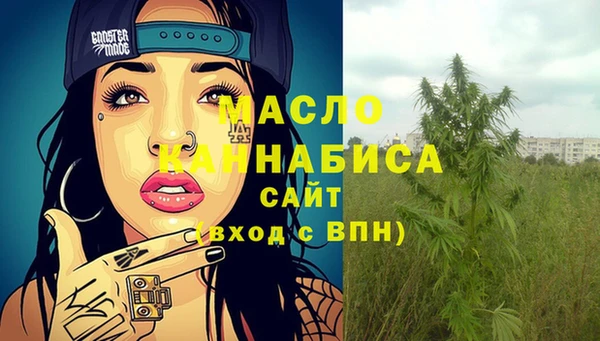 соль ск Гусь-Хрустальный