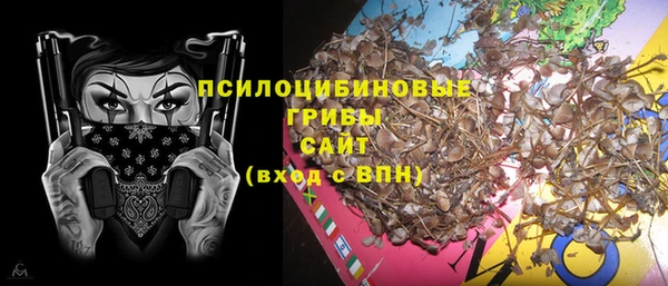 MDMA Гусиноозёрск