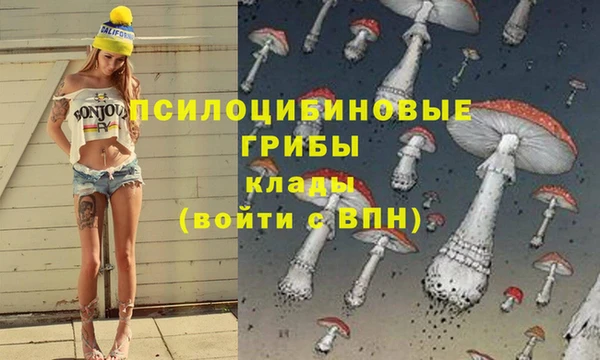 соль ск Гусь-Хрустальный