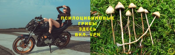 винт Гусев