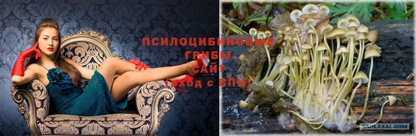 соль ск Гусь-Хрустальный