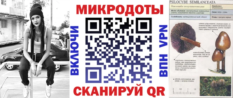 Псилоцибиновые грибы мицелий Аткарск