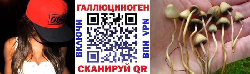 Галлюциногенные грибы мицелий  Купить закладки  Аткарск 